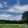 夏休みの風景
