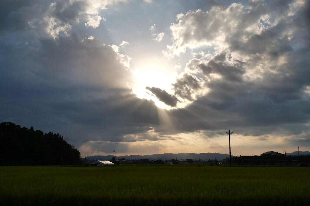 遮られる太陽