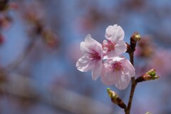 アン・ドゥ・トロワ