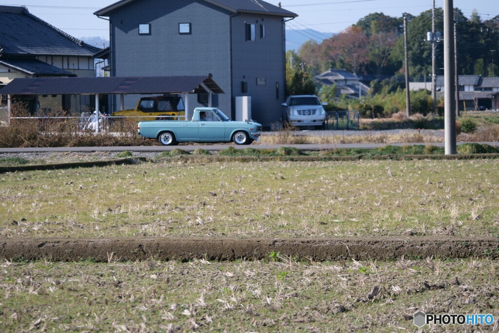 サニトラが行く！