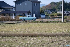 サニトラが行く！