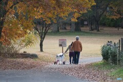 ご主人　ありがとう...
