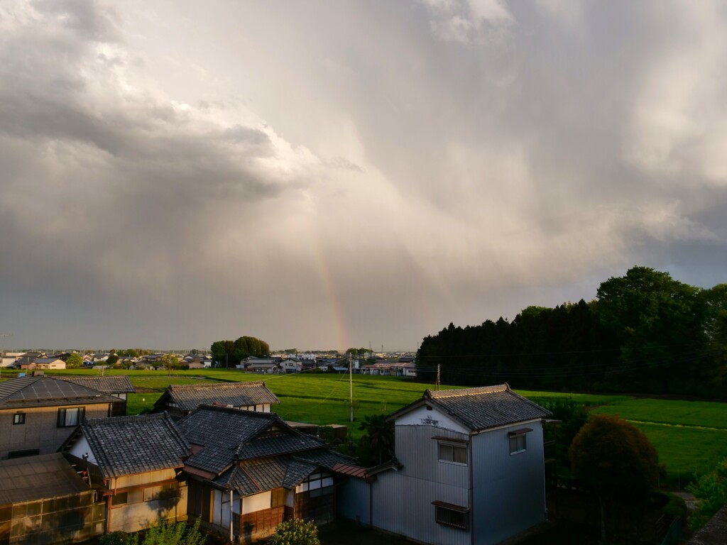 春雷の置き土産