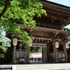神社に青モミジ