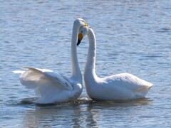 幸せをありがとう