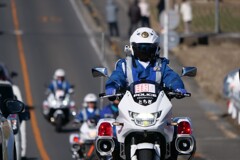 人目を引きます