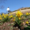 足元に咲く花