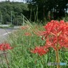 初秋の田舎道