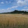 麦畑と岩船山