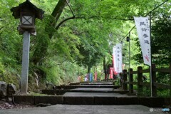涼しい音を聞いてきました 1