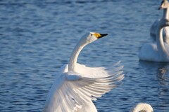 し・あ・わ・せ