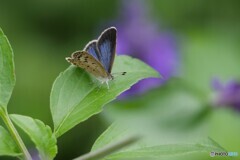 日曜日、公園にて