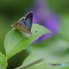 日曜日、公園にて