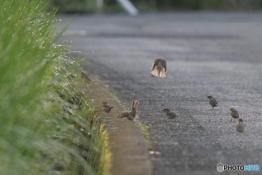 2025年の振返り 10/12