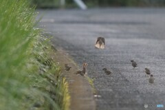 2025年の振返り 10/12