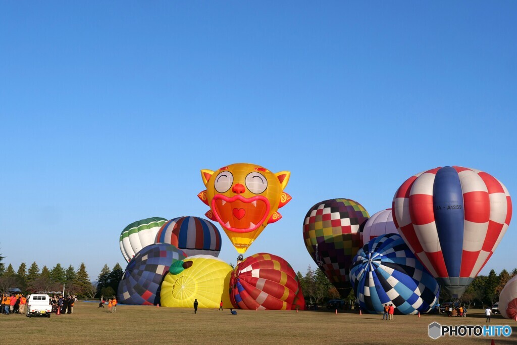 バルーンフェスタ