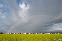 ９月の置き土産 1