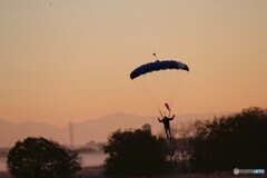 スカイダイバー