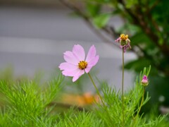 現在・過去・未来 