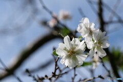 あなたに微笑む