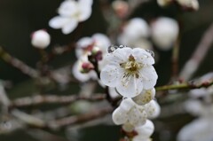 雨の日に