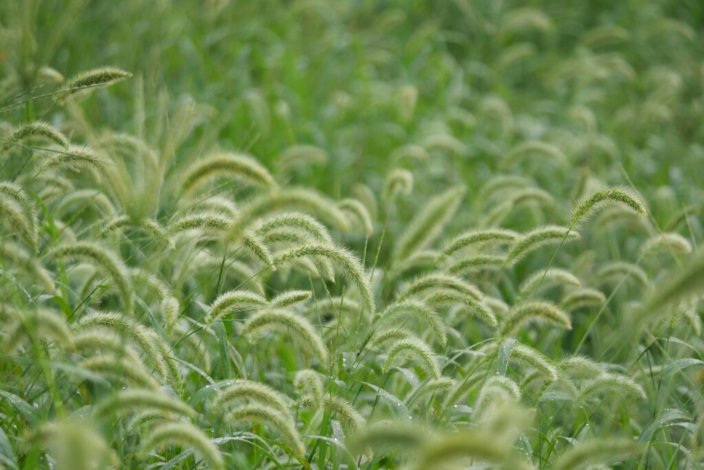 十重二十重