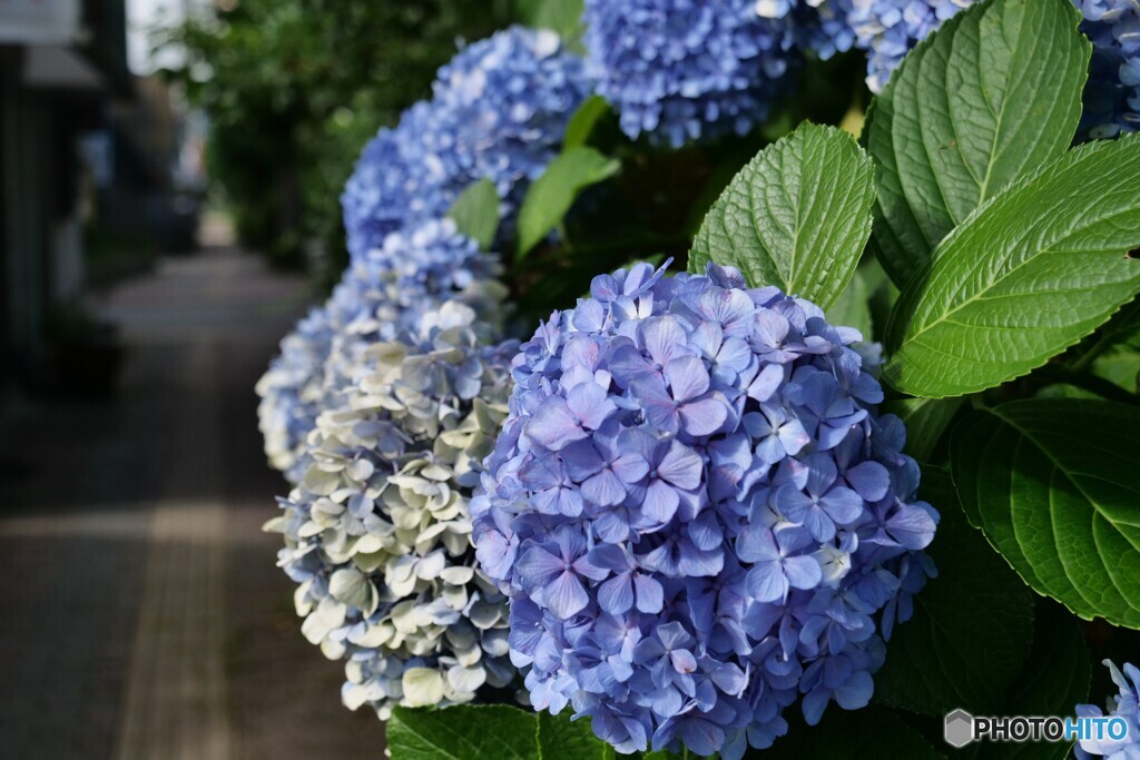 梅雨の終焉