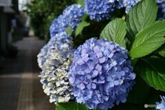 梅雨の終焉