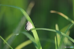 すがすがしい朝