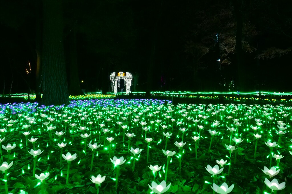 静かな夜