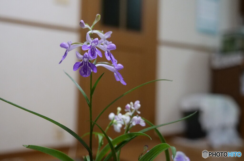 小さくても大きな存在