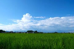 さよならの夏