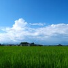 さよならの夏
