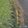 位置について
