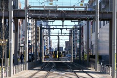 行き交う道