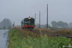 雨の日のローカル線