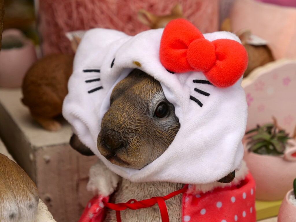 仮装するウサギさん