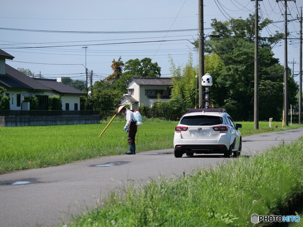 田舎道を行く