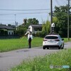 田舎道を行く