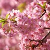 宇都宮城址公園にて