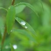 雨の日の記憶