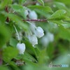 雨上がりの朝に 2/3