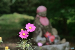小さな秋