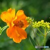 今年もよろしくね