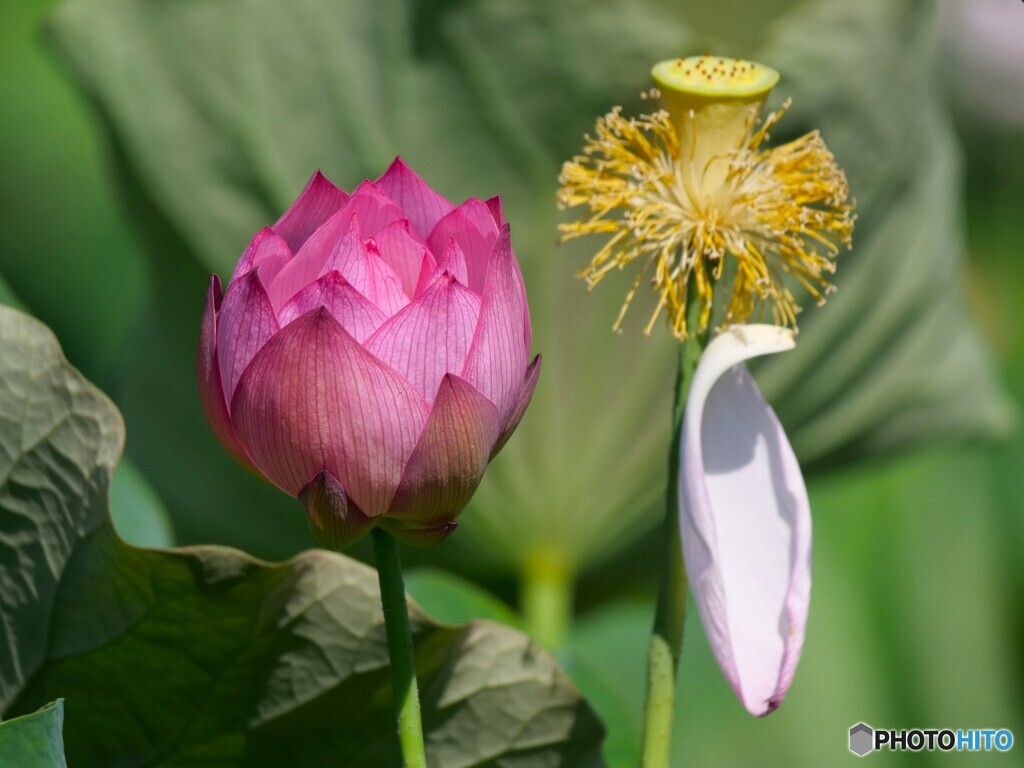 新旧交代