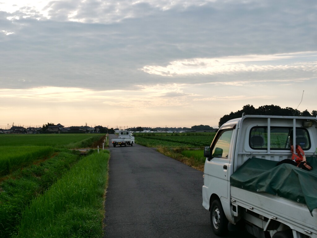 朝散歩にて 9