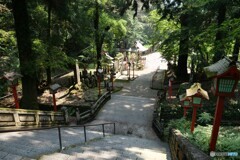 木陰の涼しさ