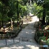 木陰の涼しさ