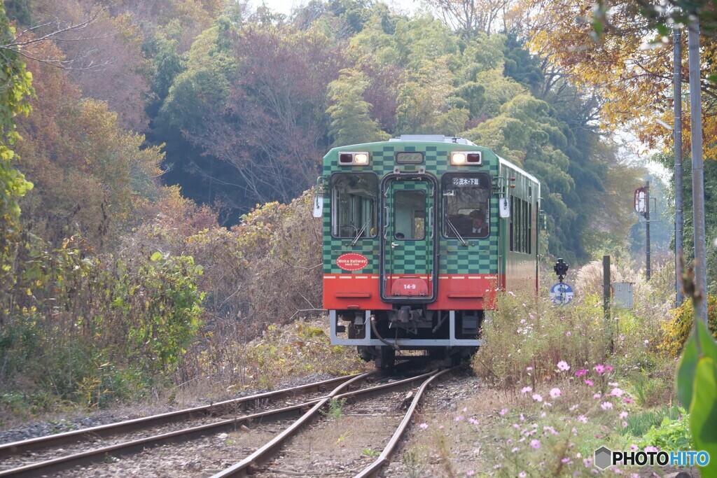 ディーゼルカーがやって来た