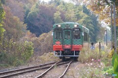 ディーゼルカーがやって来た